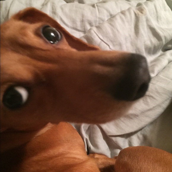 HI! I’m Dee Dee! WELCOME!! 💐💐 - Picture 2 of 8